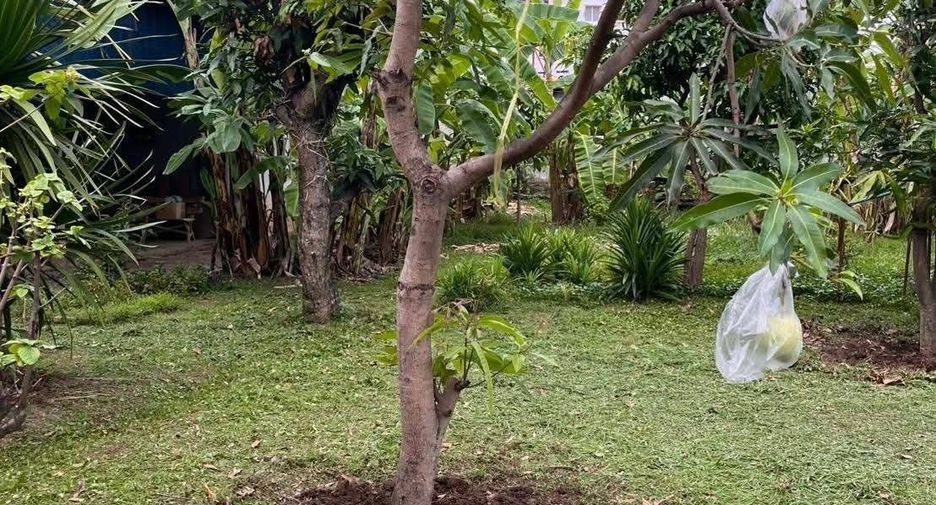 For sale land in Mueang Chiang Mai, Chiang Mai