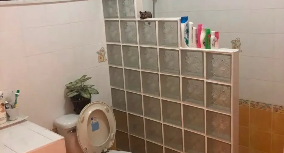 ให้เช่า 3 ห้องนอน บ้านเดี่ยว ใน ดอยสะเก็ด, เชียงใหม่