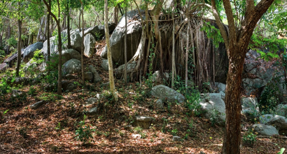 For sale land in Ko Samui, Surat Thani