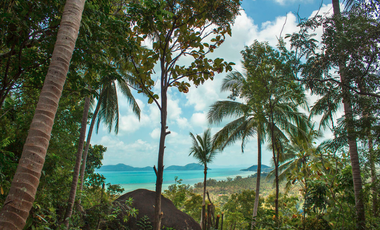 For sale land in Ko Samui, Surat Thani