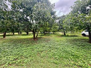 Terreno en venta en Sam Roi Yot, Prachuap Khiri Khan