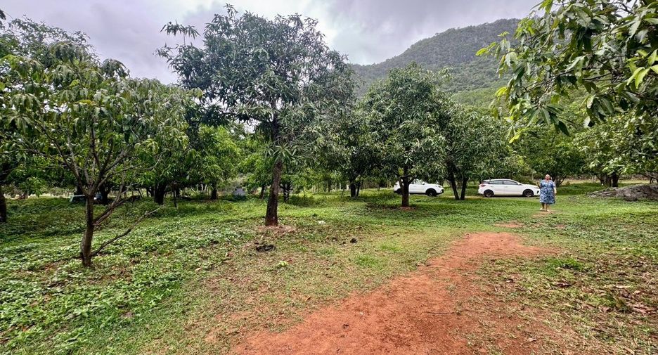 Terreno en venta en Sam Roi Yot, Prachuap Khiri Khan
