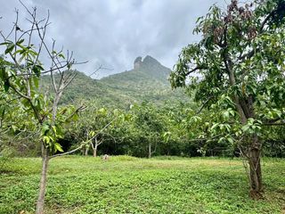 Terreno en venta en Sam Roi Yot, Prachuap Khiri Khan