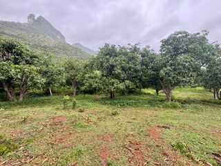Terreno en venta en Sam Roi Yot, Prachuap Khiri Khan