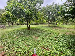 Terreno en venta en Sam Roi Yot, Prachuap Khiri Khan