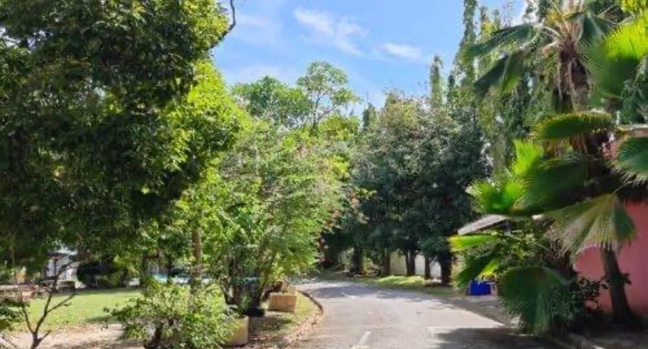 ขาย 1 เตียง ออฟฟิศ ใน เมืองภูเก็ต, ภูเก็ต