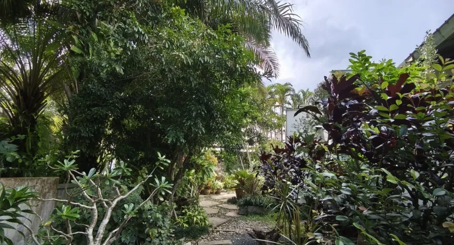 出售 3 卧室 独立屋 在 Mae Rim, Chiang Mai