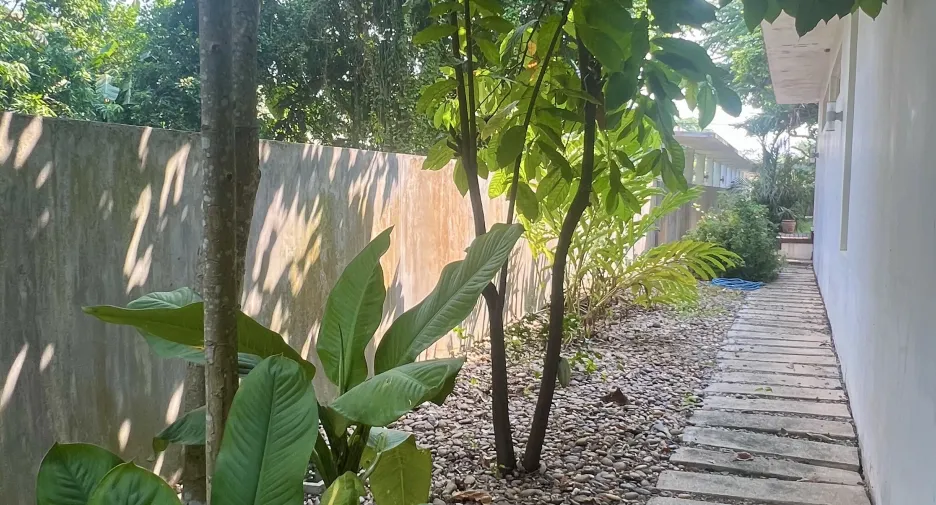 出售 4 卧室 独立屋 在 Tha Bo, Nong Khai