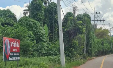 For sale land in Mueang Surat Thani, Surat Thani
