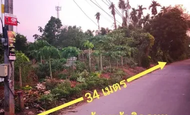 For sale land in Mueang Surat Thani, Surat Thani