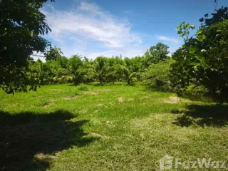 For sale land in Pran Buri, Prachuap Khiri Khan