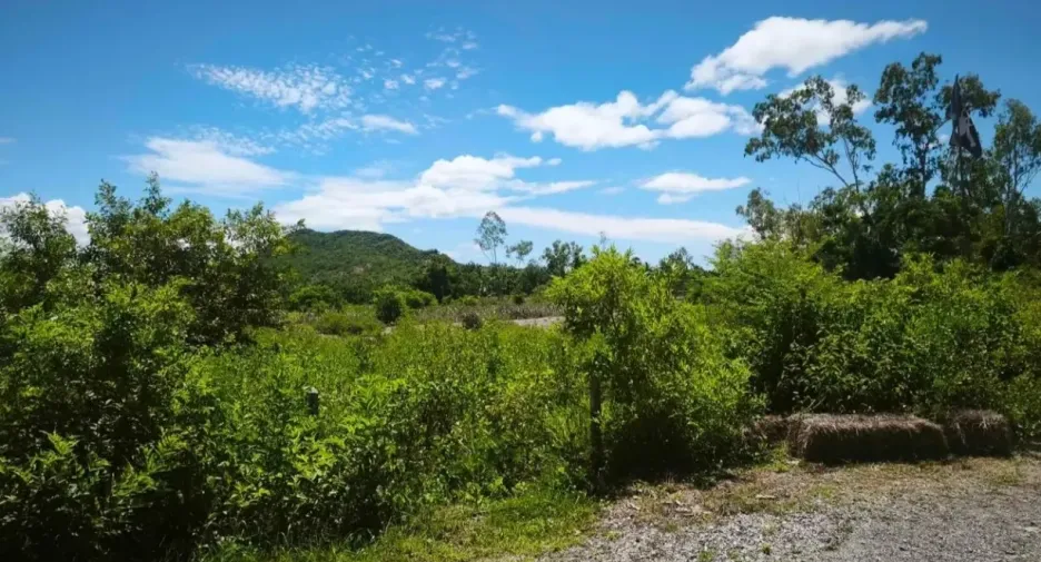 For sale land in Pran Buri, Prachuap Khiri Khan