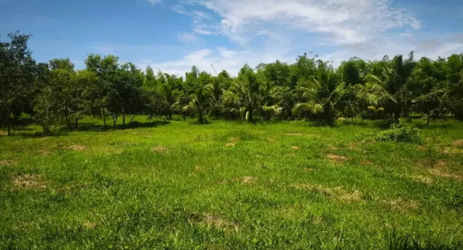 For sale land in Pran Buri, Prachuap Khiri Khan