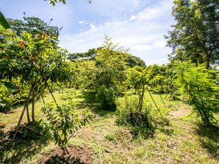 For sale land in San Kamphaeng, Chiang Mai