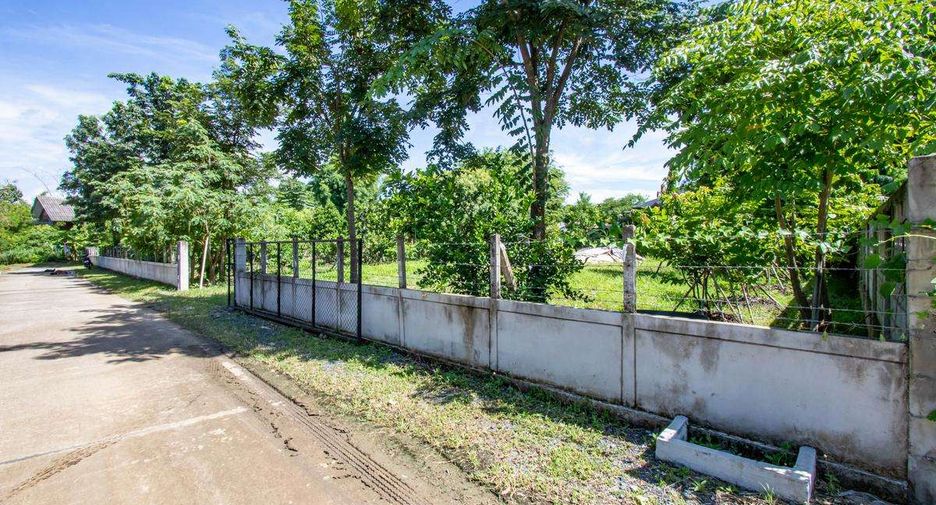 For sale land in San Kamphaeng, Chiang Mai