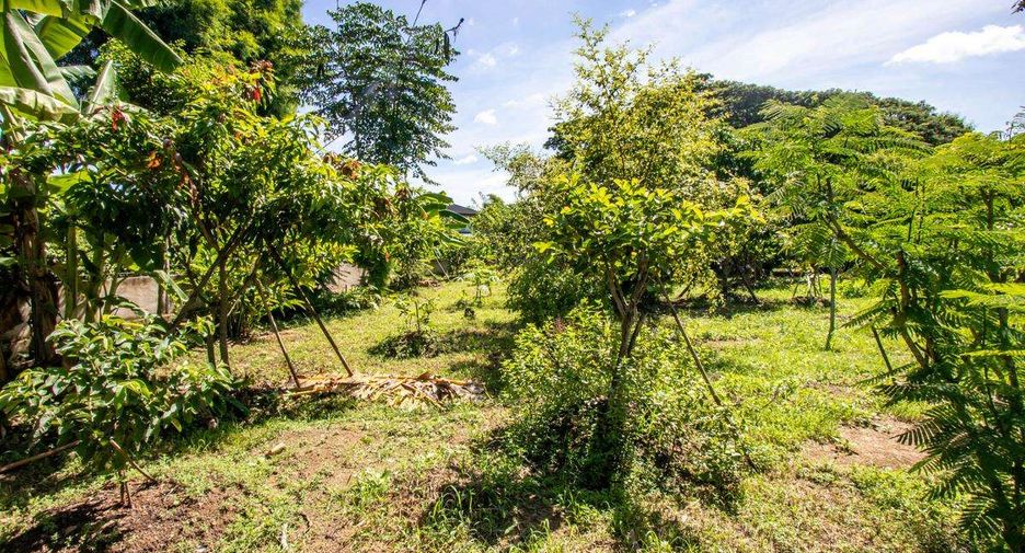 For sale land in San Kamphaeng, Chiang Mai