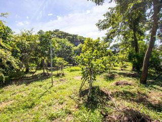 For sale land in San Kamphaeng, Chiang Mai