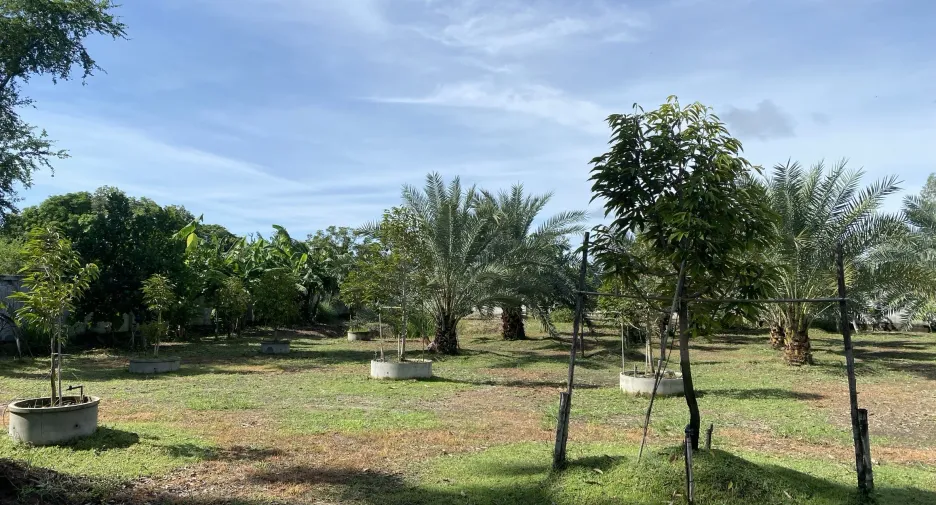 Haus zum Kauf mit 4 Zimmer in Phanom Thuan, Kanchanaburi