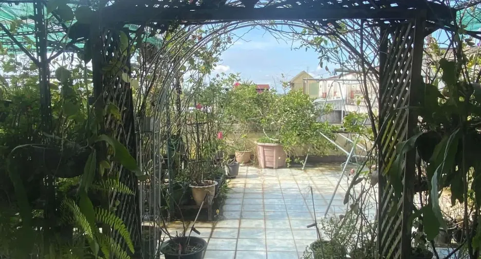 Büro zum Kauf mit 4 Zimmer in Fang, Chiang Mai