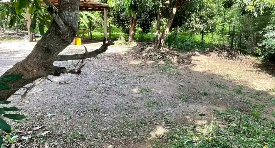 出租 1 卧室 独立屋 在 Mueang Lampang, Lampang