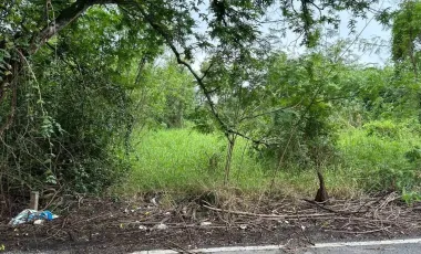 For sale land in Bang Yai, Nonthaburi