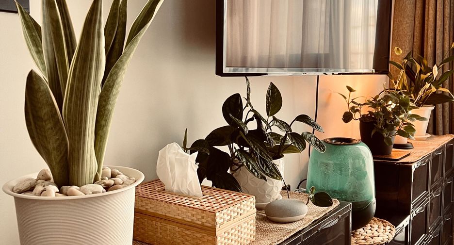 For sale and for rent 2 bedrooms condo in Huai Khwang, Bangkok