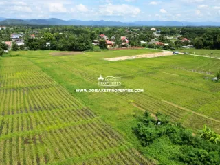 À vendre terrain à Doi Saket, Chiang Mai