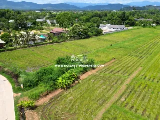 À vendre terrain à Doi Saket, Chiang Mai