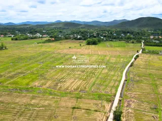 À vendre terrain à Doi Saket, Chiang Mai