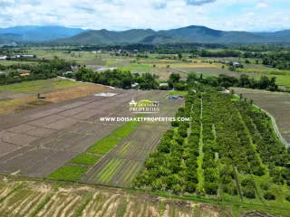 À vendre terrain à Doi Saket, Chiang Mai
