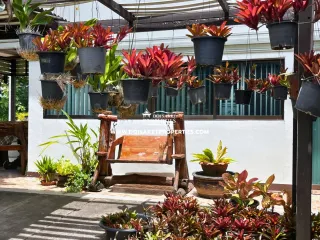 Haus zum Kauf mit 4 Zimmer in Doi Saket, Chiang Mai