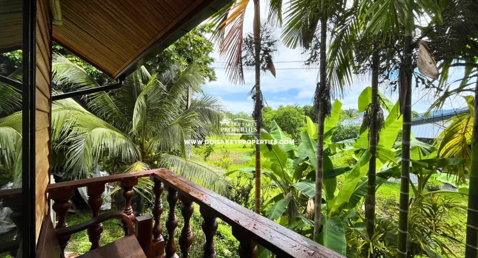 For rent and for sale 3 bedrooms house in Doi Saket, Chiang Mai