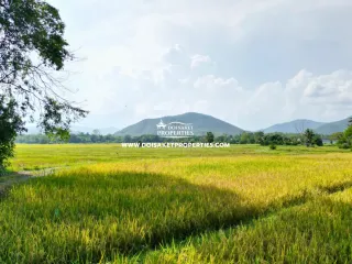 À vendre terrain à Doi Saket, Chiang Mai
