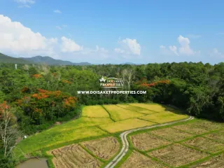 À vendre terrain à Doi Saket, Chiang Mai