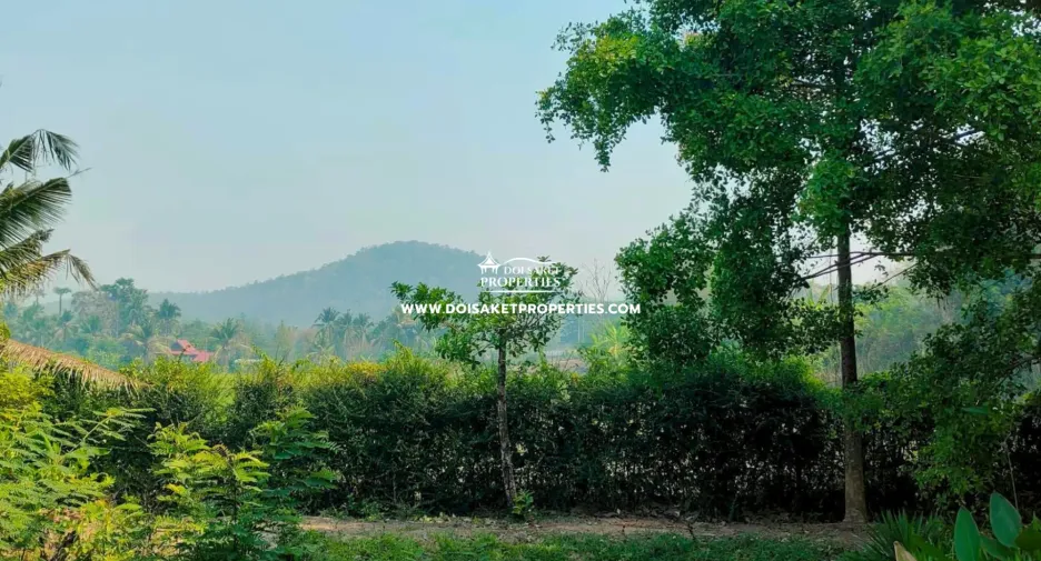 À vendre terrain à Doi Saket, Chiang Mai