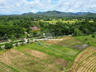 À vendre terrain à Doi Saket, Chiang Mai