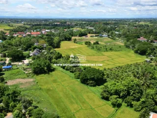 À vendre terrain à Doi Saket, Chiang Mai