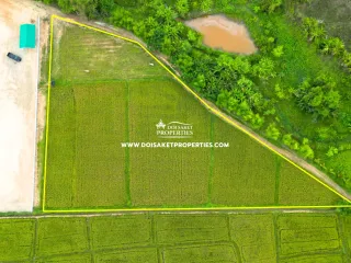 Terreno en venta en Doi Saket, Chiang Mai