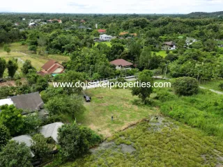 For sale land in Doi Saket, Chiang Mai