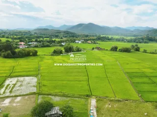 For sale land in Doi Saket, Chiang Mai