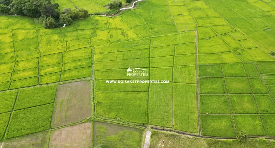 For sale land in Doi Saket, Chiang Mai