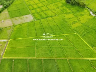 For sale land in Doi Saket, Chiang Mai