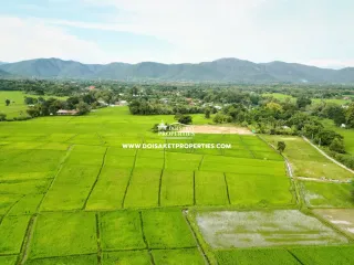 For sale land in Doi Saket, Chiang Mai
