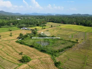 For sale land in Doi Saket, Chiang Mai