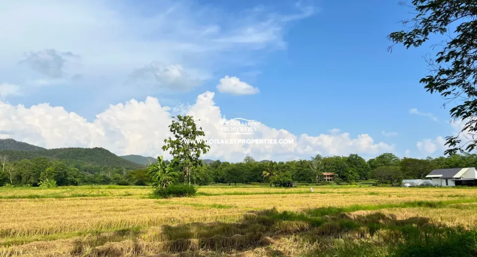 For sale land in Doi Saket, Chiang Mai
