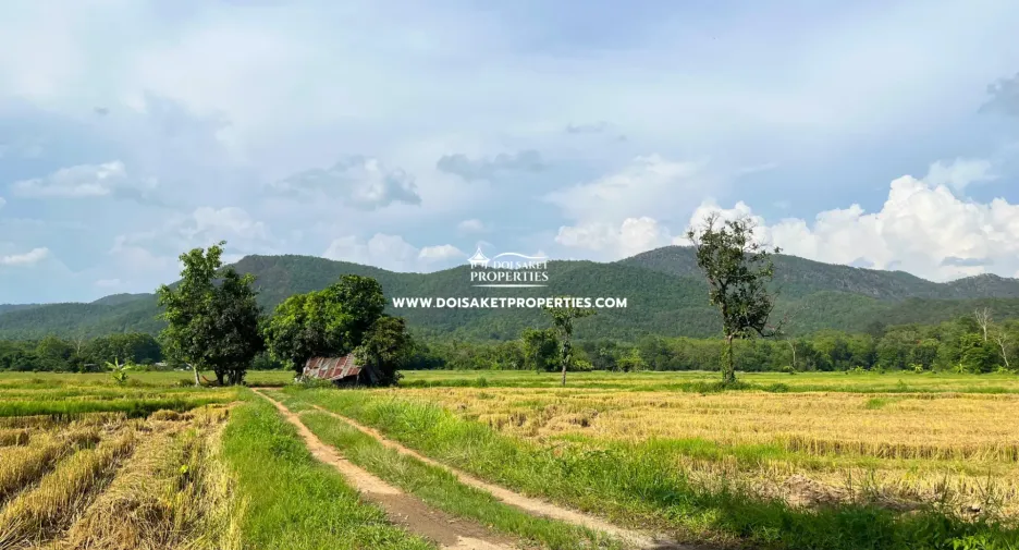 For sale land in Doi Saket, Chiang Mai