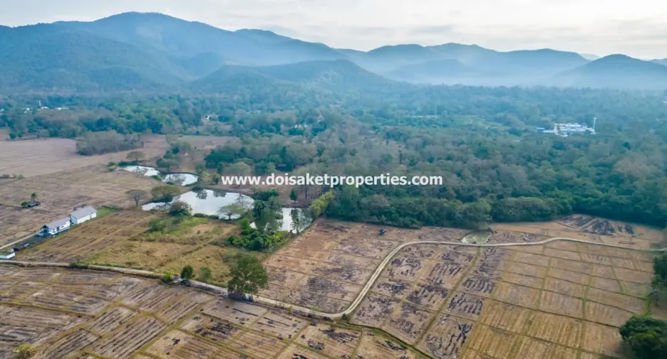 À vendre terrain à Doi Saket, Chiang Mai