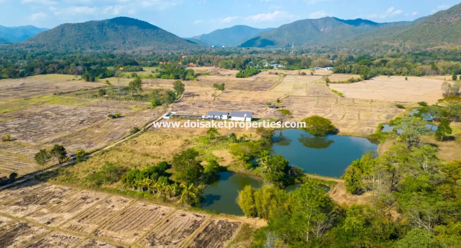 À vendre terrain à Doi Saket, Chiang Mai