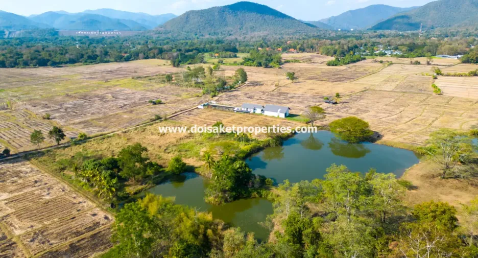 À vendre terrain à Doi Saket, Chiang Mai