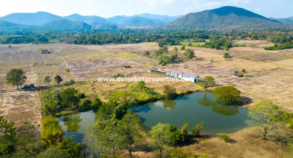 À vendre terrain à Doi Saket, Chiang Mai